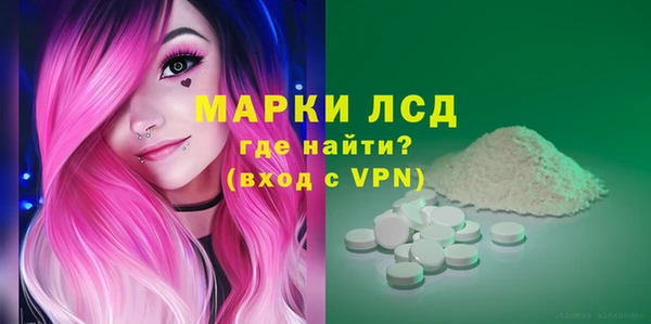 индика Протвино