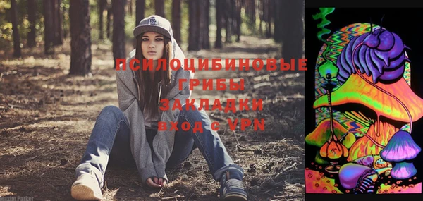 СК Алексин