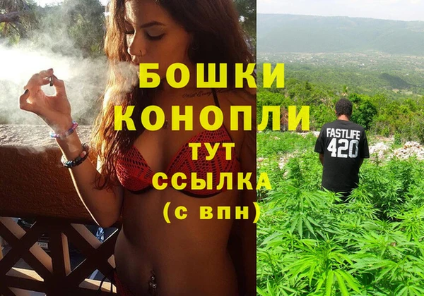 дурь Алзамай