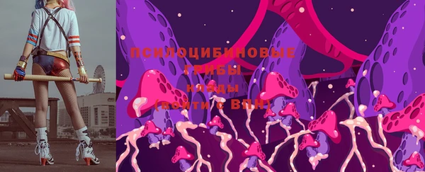 СК Алексин